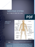 Nervous System (2015 - 06 - 09 22 - 21 - 55 Utc)