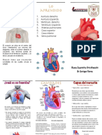 Triptico Corazon 