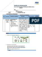 Sesión de Comunicaciòn (Semana 2)