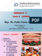 Tema Lipidos