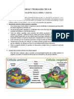 Ciencia y Tecnología 1ro A-B - Actividad