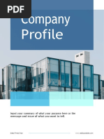 White Blue Modern Company Profile