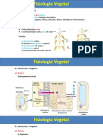 Fitormônios Crescimento e Fotoperíodo Resumo Rascunho