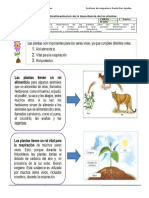 Guia n1 La Importancia de Las Plnatas