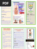 Triptico Aparato Sistema Digestivo