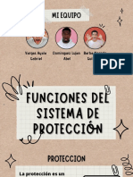 Funciones Del Sistema de Protección