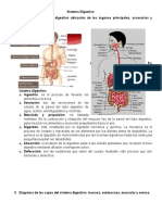 Sistema Digestivo Preguntas De1 Al 40 - 1