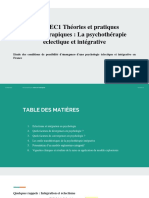 P2 Psychothérapie Éclectique Et Intégrative