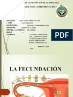 FECUNDACION