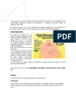 Percusión Renal