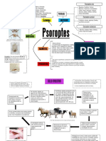 Mapa Mental - GENERO PSOROPTES