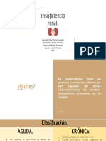 Insuficiencia Renal