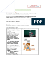 Cuaderno de Campo - Sistema Respiratorio