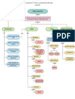 Mapa Conceptual 1.2-Forma y Características Del Tejido Conjuntivo