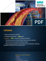 Colesterolhdl LDL 201007165646