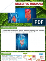 Semana 6 DIGESTIVO V 1