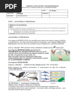 Guia 2 Evidencias Evolutivas Anatomia Comparada Biogeografia Embriologia