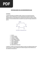 TEMA Nº5 Metabolismo de Las Macromoléculas