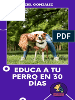 Educa A Tu Perro en 30 Días