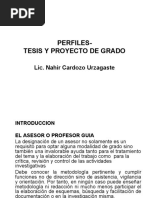 Perfiles Tesis y Proyecto