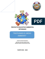 Proyecto Ambiental de La IE 30001-195