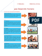 Las Etapas Desarrollo Humano para Tercero de Primaria