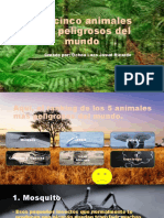 2los Cinco Animales Mas Peligrosos Del Mundo