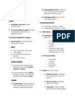 Digestive System Reviewer