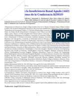 Controversias en La Insuficiencia Renal Aguda - Conclusiones Conferencia KDIGO