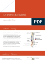 Síndromes Medulares