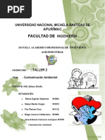 CONTAMINACION AMBIENTAL Taller II