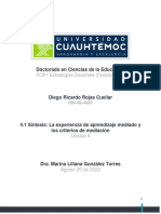 4.1 Síntesis La Experiencia de Aprendizaje Mediado y Los Criterios de MediaciónTarea ROJAS - DIEGO