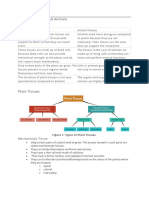 Notes of CH Tissues Class 9