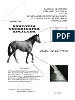 Manual de Prácticas Anatomía Veterinaria Aplicada Semestre 2023-1