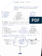 Ejercicio 3 Propiedades Del Concepto