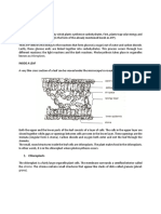 PHOTOSYNTHESIS - Light and Dark Reaction