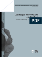 Los Riesgos Psicosociales en El Trabajo. T Eoría, Metodología y Estudios de Casos