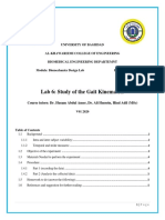 BioMechanic Lab Study of The Gait Kinematics