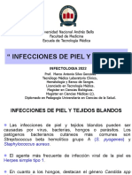 9 Infecc Piel y Heridas 2022