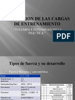 Evaluacion de Las Cargas de Entrenamiento