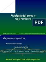 Fisiologia Del Arroz