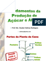 Como Uma Usina de Açúcar e Álcool Funciona?