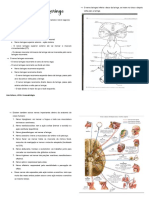 Inervação Da Laringe
