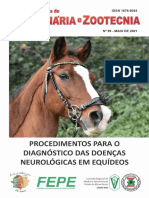 Caderno Tecnico Doenças Neurologicos Equinos