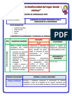 5° y 6° Miércoles 04 S5