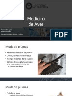 Medicina de Aves