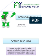 Octavo Paso Iami