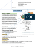 Resumen de Bio Celular 2do Parcial Uba Xxi