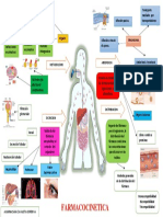 Farmacocinetica - Mapa Conceptual