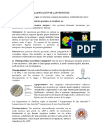 Clasificación de Las Proteínas